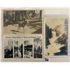 Image 1 : Real Photo Yosemite National Park Postcards 30+