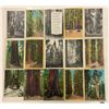 Image 2 : California Redwood Postcards Approx. 80