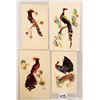 Image 1 : Novelty - Bird Feather Attachments 12