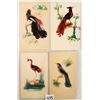 Image 2 : Novelty - Bird Feather Attachments 12
