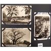 Image 8 : Antique Album of Africa Postcards Approx. 190