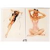 Image 1 : Nude & Pin Up Women Album Approx. 135 Postcards