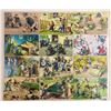 Image 2 : Animals - Mainzer Cat Postcards 30+