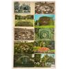 Image 2 : Floral Clock Postcards 35+