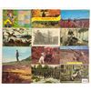 Image 2 : Hunting Approx. 65 Postcards