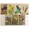 Image 2 : 35+ Continental Life Insurance Company Washington D.C. Animal Cards