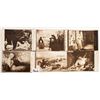 Image 2 : Real Photo Salon De Paris Art Postcards 110+