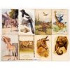 Image 2 : Animals Approx. 115 Postcards