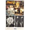 Image 1 : Glass Factory & Glass Related Postcards Approx. 120
