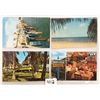 Image 8 : Naples, Florida Album 60+ Postcards