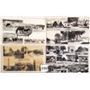 Image 8 : England "D" Real Photo Multiview Approx. 65 Postcards