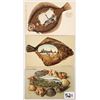 Image 2 : Group of 5 Fish & Shellborder International View Postcards