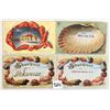 Image 1 : Group of 13 Ocean Life & Shellborder Postcards