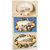 Image 2 : 7 Massachusetts Lobster & Shellborder Postcards