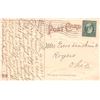 Image 2 : #657 Greetings from the Sunny South Alligator Border Black Americana Postcard