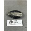 Image 2 : 2.9" Orthoceras Fossil. Retails $200.00