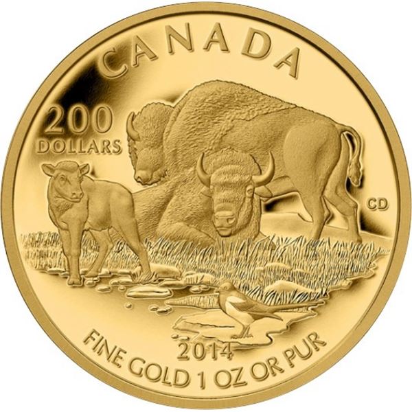 2014 $200 The Bison: At Home on The Plains - Pure Gold Coin.  Tax Exempt.