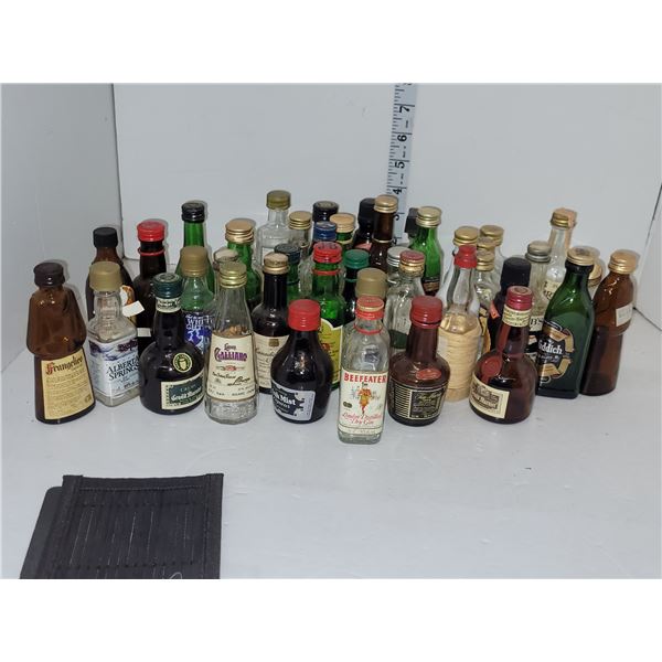 Alcohol Collectors Lot - All are Empty Almost All are Glass