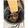 Image 1 : Red canna, lily bulbs