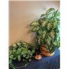 Image 1 : 2 Faux Plants & Copper Covered Watering Can