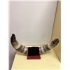 Image 2 : Decorative Horns