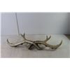 Image 3 : Faux Antler Candle Holder 26" Long
