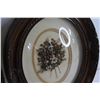 Image 3 : (2) Convex Glass Frames w/ Flower Art