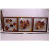 Image 1 : (3) Wood Framed Wall Art of Leaf Collections 14" x 14"
