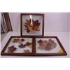Image 2 : (3) Wood Framed Wall Art of Leaf Collections 14" x 14"