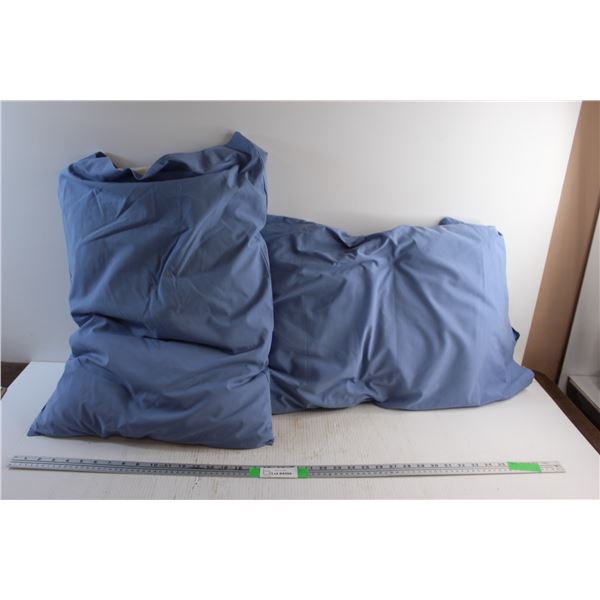 (2) Medical Pillows
