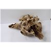 Image 4 : * Domestic Bison Skull - 14" x 18" - Some Wear