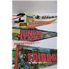 Image 3 : (8) Pennants: Prince George, Mt. Robson, Jasper, Penticton, Fairbanks, Juneau, Wrangell, South Dakot