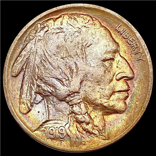 1919 Buffalo Nickel CHOICE BU
