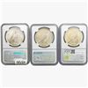 Image 2 : [3] 1923 Silver Peace Dollar NGC MS63