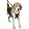 Image 1 : NEW SPORN NON-PULL MESH HARNESS FOR DOG