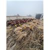 Image 9 : IH 5000 Vibra Chisel, approx. 20 ft c/w 4-bar tines, SN. 0190028C001215