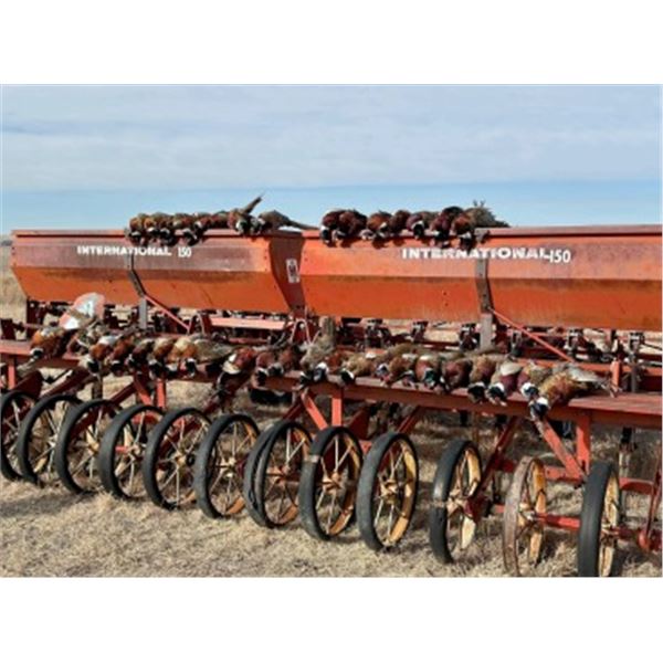 Bow	Creek Pheasant Hunting