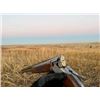 Image 2 : Bow	Creek Pheasant Hunting