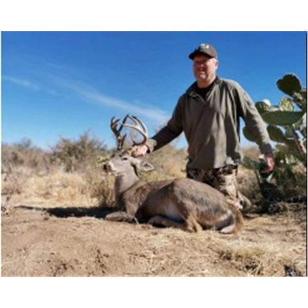 MEXICO COUES DEER