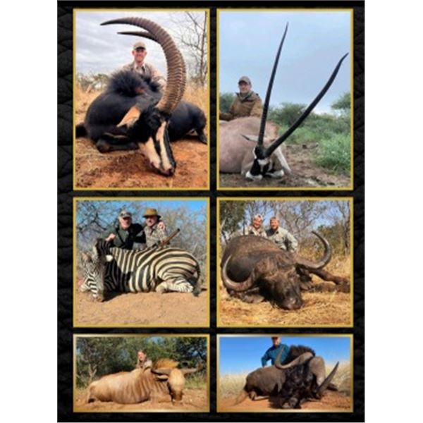 AT AFRICA HUNTING SAFARIS