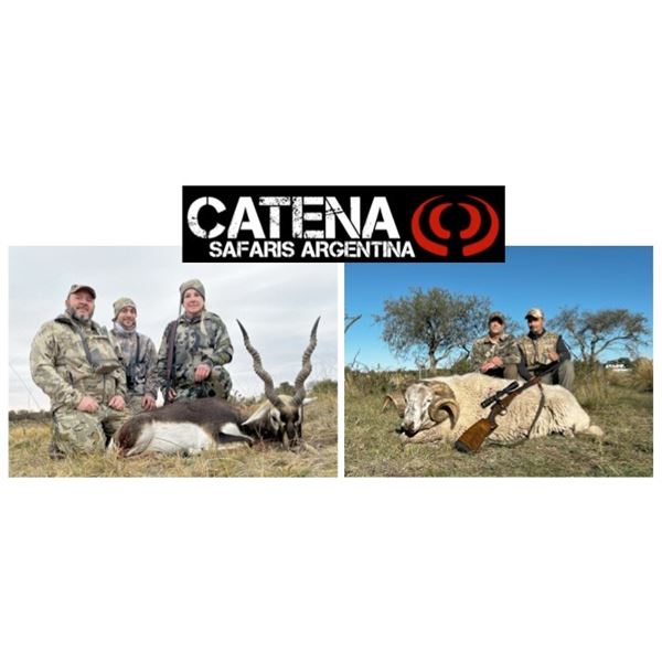 Northern Patagonia Region Argentine Big Game Hunt
