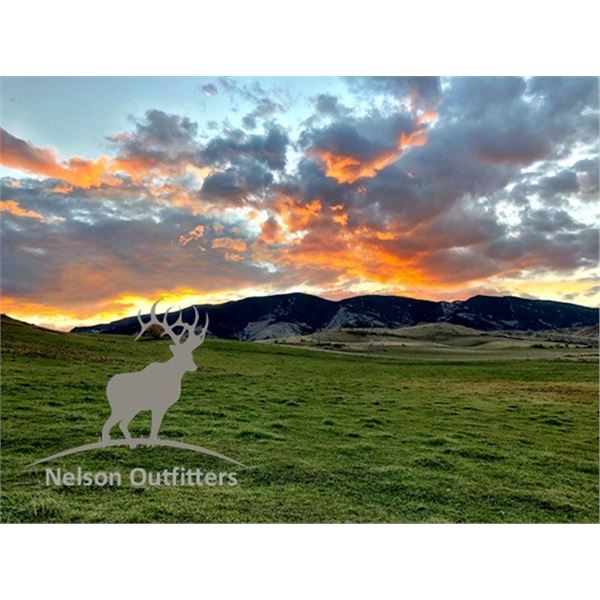 Northern White Tail Youth Meat Hunting Experience