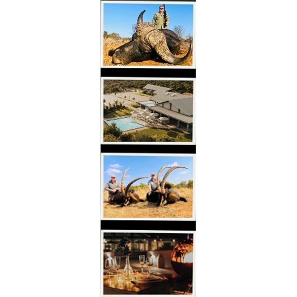 Your Dream South African Adventure