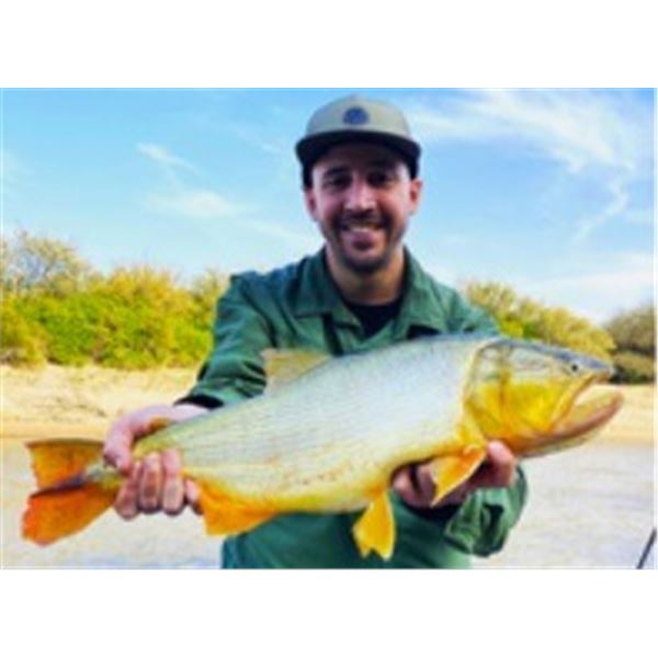 WORLD CLASS ARGINTINA DOVE/PIGEON HUNTING AND GOLDEN DORADO FISHING