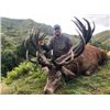 Image 1 : World Class Waitomo Caves, New Zealand Red Stag and Fallow Deer Hunt