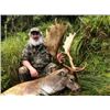 Image 2 : World Class Waitomo Caves, New Zealand Red Stag and Fallow Deer Hunt