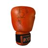 Image 1 : Boxing Memorabilia - Eder Jofre 72-2-4 50 KO Signed Glove w/COA