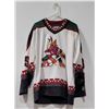 Starter Khabibulin 35' Phoenix Coyote's Jersey