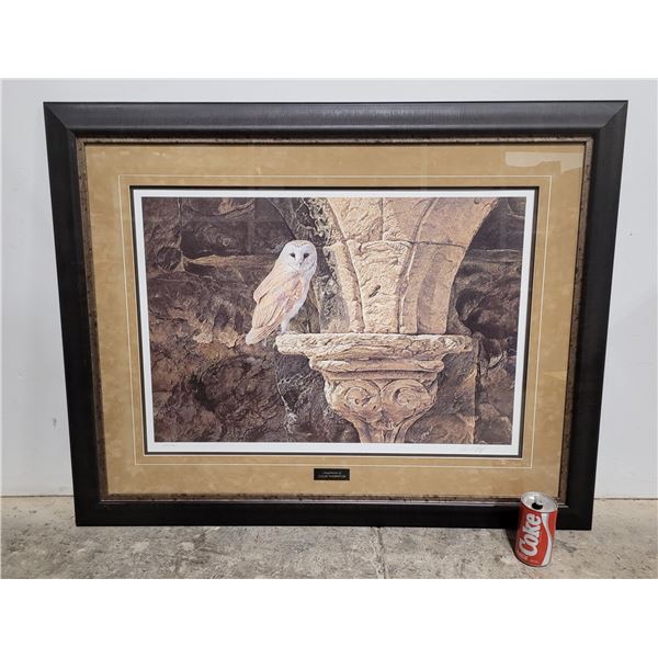 Framed/Numbered and Signed Print "Ancient Glow" Print by Alan Hunt