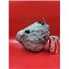 Image 1 : Wasp/Hornet Nest
